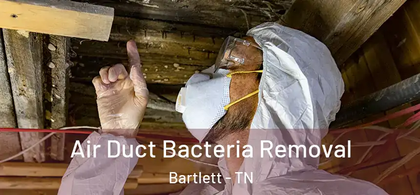 Air Duct Bacteria Removal Bartlett - TN