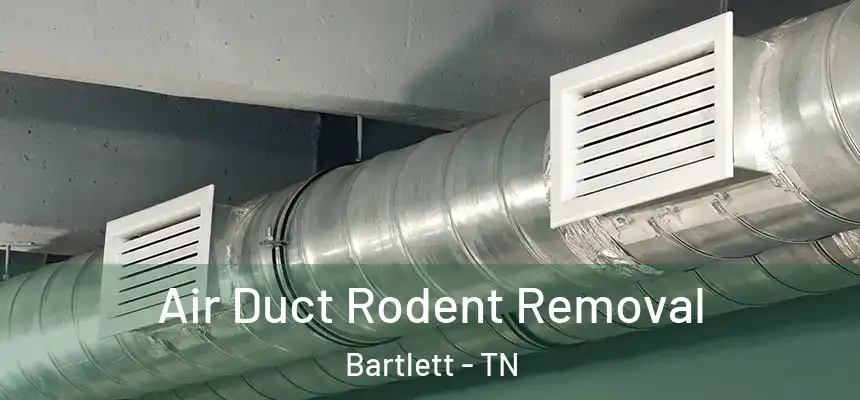  Air Duct Rodent Removal Bartlett - TN