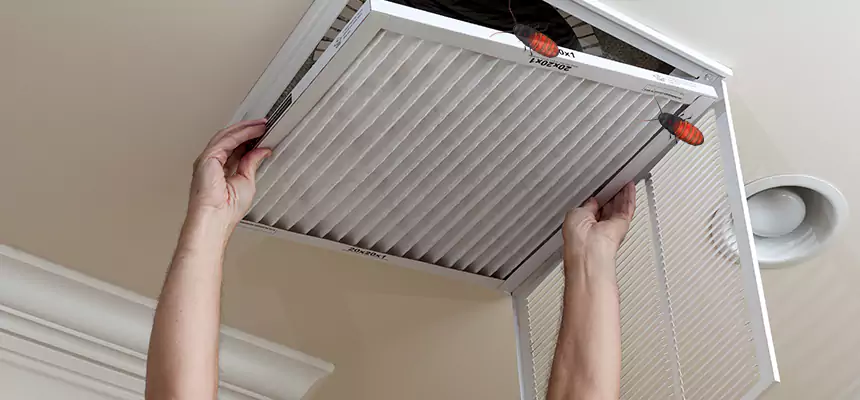Our Insect Removal from Air Ducts Services in Bartlett, TN