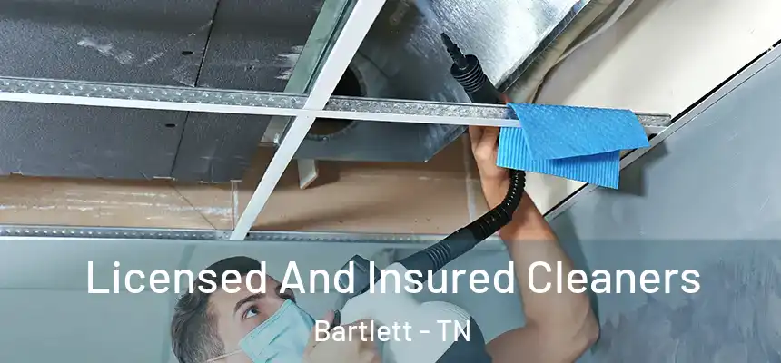 Licensed And Insured Cleaners Bartlett - TN