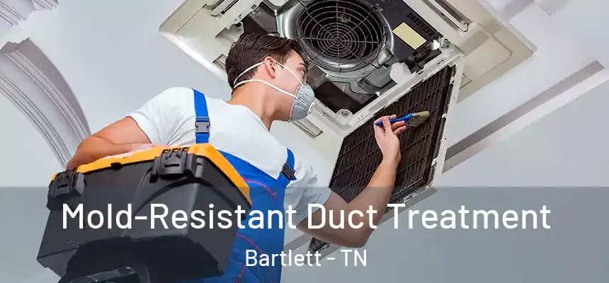  Mold-Resistant Duct Treatment Bartlett - TN
