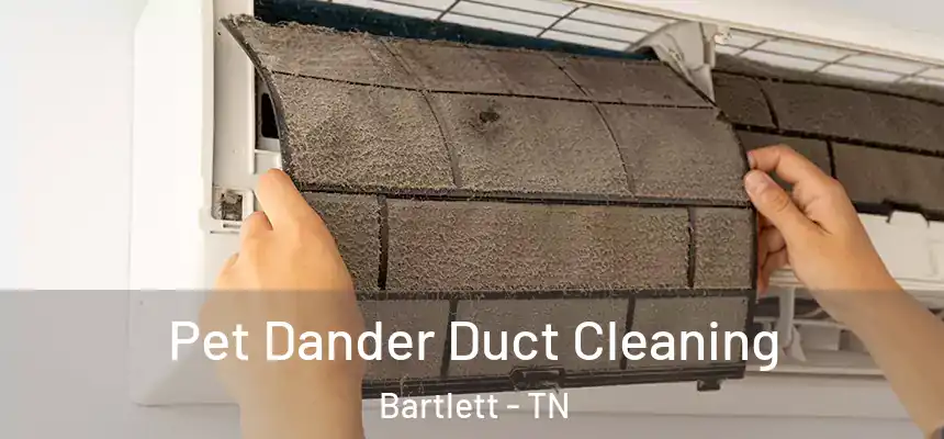  Pet Dander Duct Cleaning Bartlett - TN