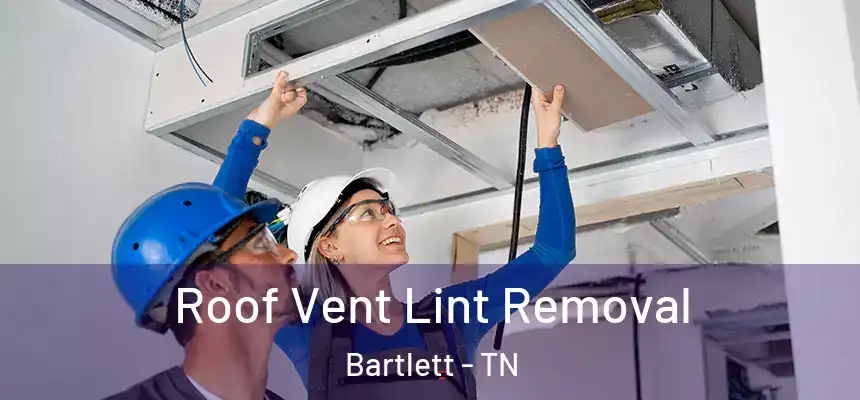  Roof Vent Lint Removal Bartlett - TN
