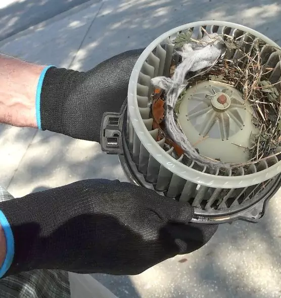 About Air Duct Rat Removal in Bartlett, TN