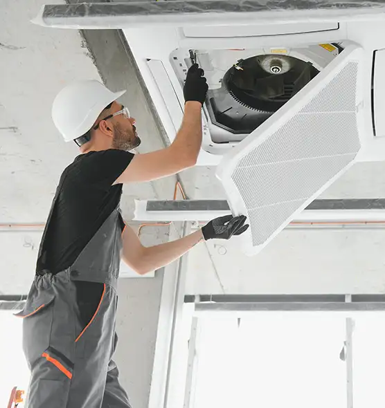 About Air Duct Rodent Removal in Bartlett, TN