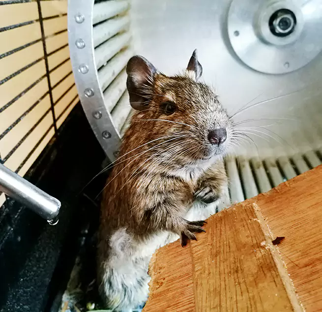 Why Homeowners & Businesses Trust Us Bartlett, TN